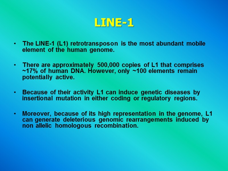 LINE-1  The LINE-1 (L1) retrotransposon is the most abundant mobile element of the